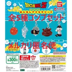ドラゴンボールZめじるしアクセサリー2 全5種コンプセット