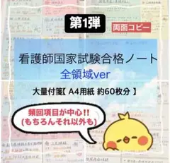 Item thumbnail for item 94fc6d73-b083-4a2b-ad5f-f278c2427cbb