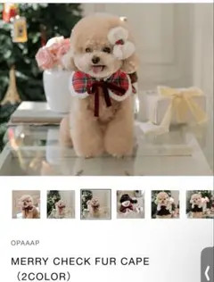 Item thumbnail for item 65e244b3-4875-4cc4-b94e-5daf7c37e7d7