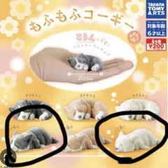 もふもふコーギー　ふて寝A ふて寝C