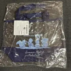 ディズニー　ビニールバッグ