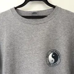 90s T&C Surf Designs Tシャツ M シングルステッチ グレー