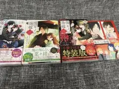 傷モノの花嫁 6～8巻セット 特装版あり
