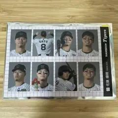 佐藤輝明　証明写真風ステッカー