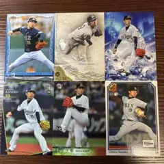 Item thumbnail for item 86a84977-393b-490a-9637-b1fe957b8653