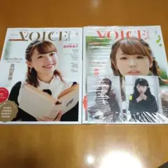 VOICE channel vol.5 GAMERS限定版