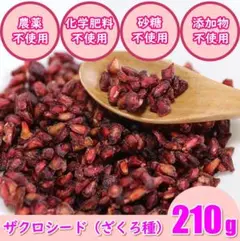 Item thumbnail for item 2e123b7e-97f2-4e6d-8a1f-e3b02266e500