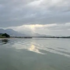 専用