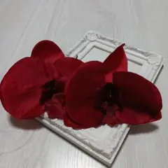 Item thumbnail for item 83d91623-974b-4399-9691-bae3ed24dc82