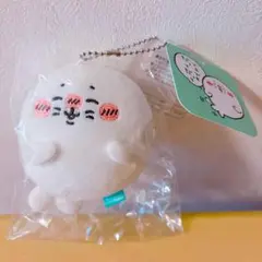 アザラシくじ D賞 ノーマル マスコット