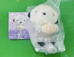 かわいい かわいい ぬいぐるみ 水族館のいきもの3 ラッコ