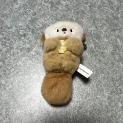 にこやま　ポッケ（nicoyama pocket）ぷかぷかラッコのぬいぐるみ