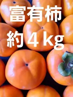 柿 富有柿 15個