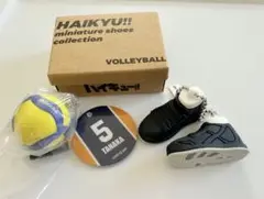 ハイキュー!! ミニチュアシューズコレクション 田中龍之介