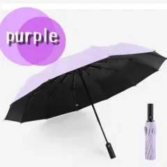 Item thumbnail for item 4a645158-73d6-4661-bf4d-239671361804