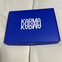 StrayKids スキズ KARMA CEREMONY 通常盤 トレカ無