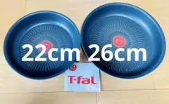 Item thumbnail for item 301c9518-c976-42e6-878b-9b49afe2ef09