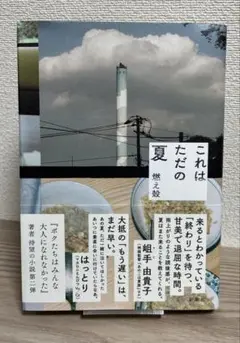 これはただの夏 燃え殻　田中圭子著