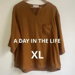 A DAY IN THE LIFE リネン100% ブラウス　ブラウン　XL