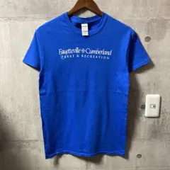 Tシャツ 90s 00s ヴィンテージ Y2K GILDAN ギルダン H249