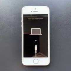 iPhone SE ジャンク