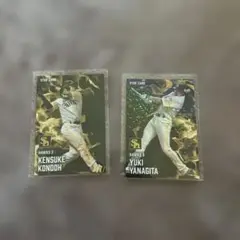 プロ野球チップス2025第2弾　スターカード　柳田悠岐　近藤健介