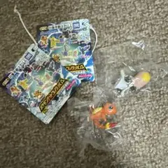 ポケモン ポケモンゲットコレクションズ シンカの波動 ヒトカゲ ノノクラゲ