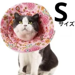 Item thumbnail for item fd1f247b-a343-4572-a1d5-3bf388097e2f