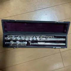 メルリップ 楽器