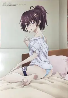 ド級編隊エグゼロス 宇崎ちゃんは遊びたい！両面ピンナップポスター
