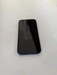 Apple iPhone 12 青