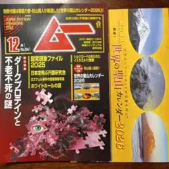 Item thumbnail for item e064e22a-028f-4130-9a97-df2fdff25464