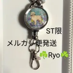 レトリバー　犬　動物　リールキーホルダー　《ST限》
