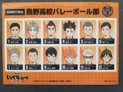 劇場版　ハイキュー!!　ゴミ捨て場の決戦　入場特典　烏野