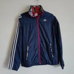 Item thumbnail for item 380c17c4-6f7a-4a25-88dd-0a631478cb00