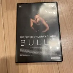 Larry Clark BULLY パンフレット/フライヤーおまけ付き BULLY ブリー 映画パンフレット ラリー・クラーク監督 ブラッド