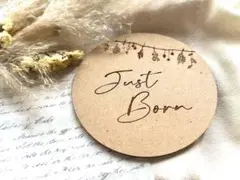 新作 Just Born レターバナー ニューボーンフォト 赤ちゃん　送料込み
