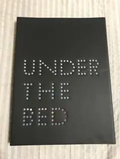 Item thumbnail for item 160f0ee5-d6db-449b-80ce-f58a809413f0