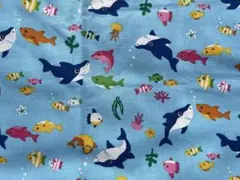 生地・サメ・水色