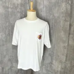 ANTI BALLISTIC バック刺繍　アメカジ　ネイティブ柄　Tシャツ