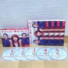 きみが心に棲みついた DVD 全5巻セット