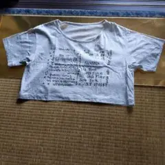 DANSKIN　レデースM