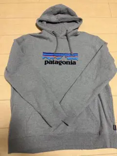 patagonia P-6 ロゴ・アップライザル・フーディ