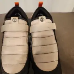 Item thumbnail for item 819359a6-f65c-4ffc-b981-d59615ec6c07