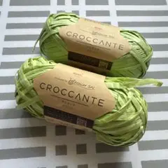 ★匿名発送★ CROCCANTE グリーン ✖️2