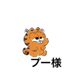専用