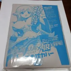 【未使用】そらのおとしもの 娘TYPE 特別付録 両面枕カバー