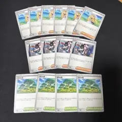 トウコ、リーリエの決心、活力の森、セット ポケモンカード