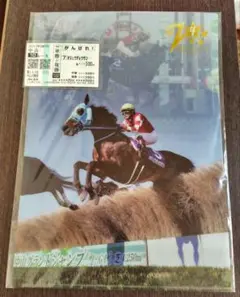 オジュウチョウサン 中山グランドジャンプクリアファイル 中山大障害馬券 セット