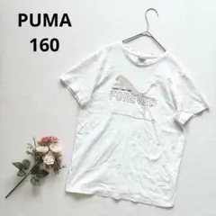 Item thumbnail for item 93bafe60-1409-4369-a069-ce7c12ca7f3b